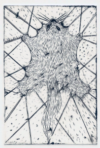 Squirrel skin, engraving